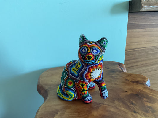 Huichol Fox