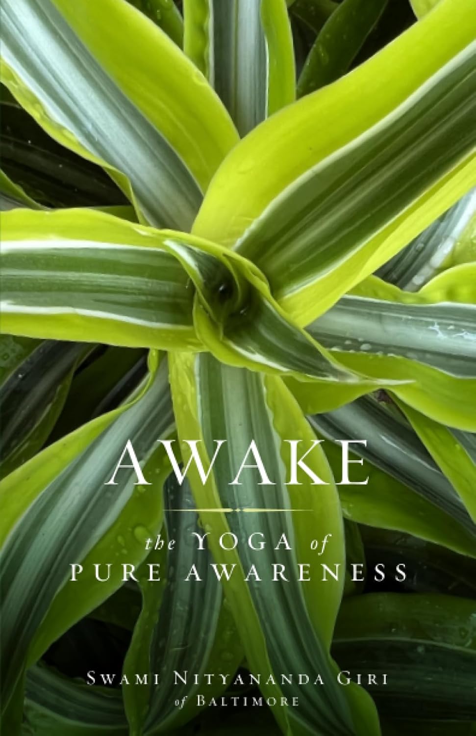 Swami Nityananda Giri - “Awake”