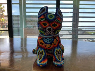 Huichol Dog